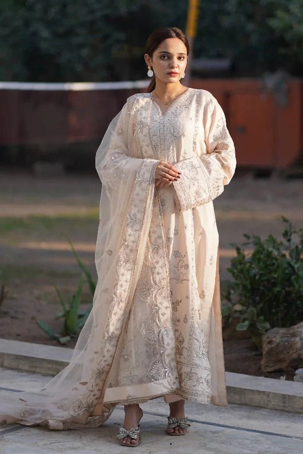 What to Wear to a Pakistani Wedding 2026 | Guest & Bridal Outfit Guide — Daiselle